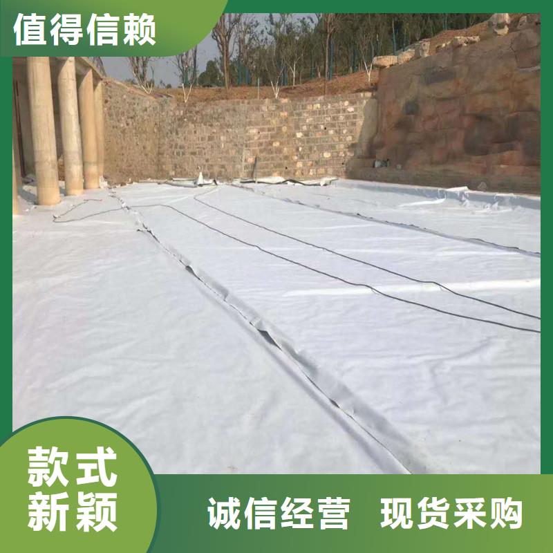 土工布钢塑土工格栅市场报价