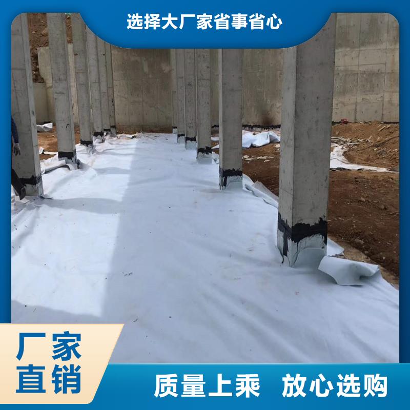 【土工布】塑料玻纤格栅现货实拍