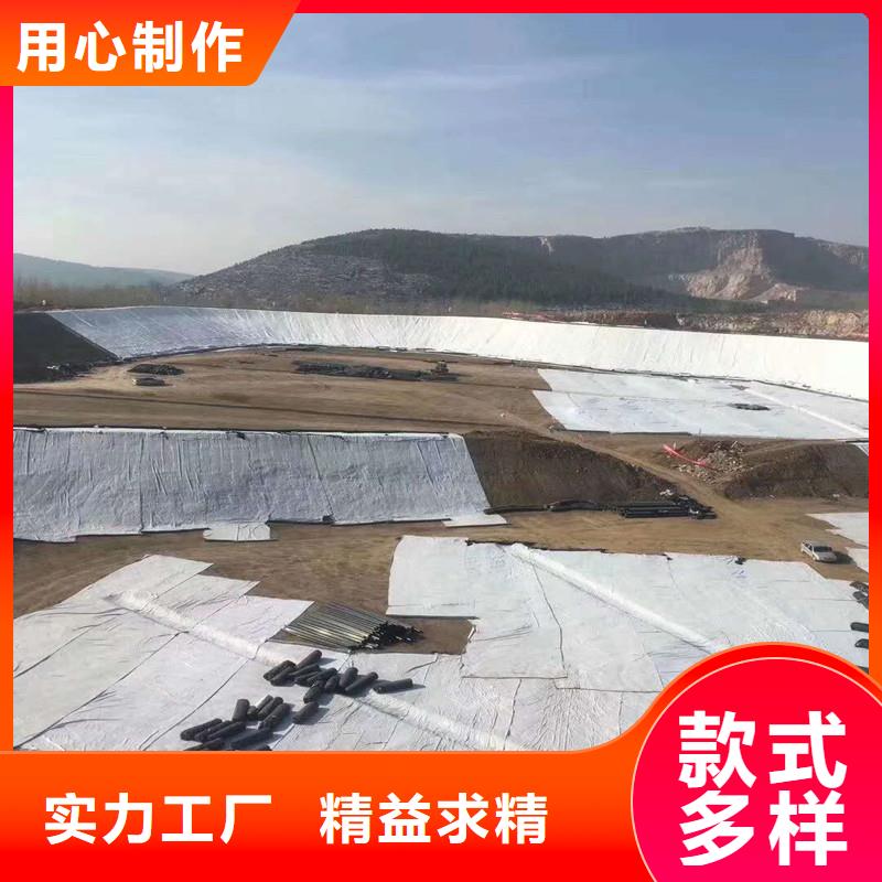 【土工布】塑料玻纤格栅现货实拍