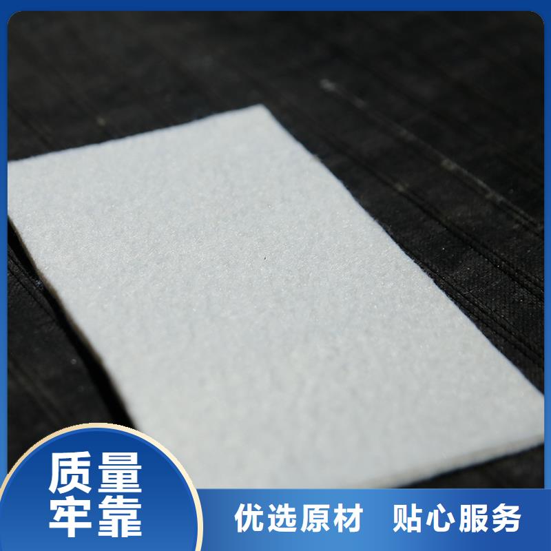 防渗土工膜厂家