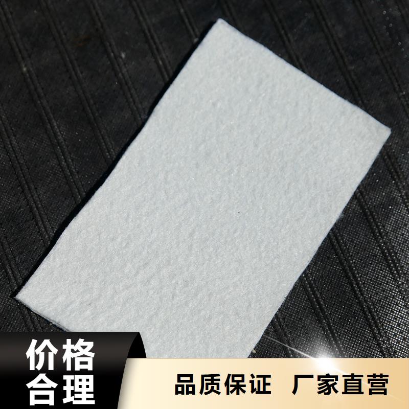 防渗土工膜厂家现货