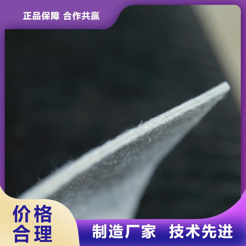 防渗土工膜厂家