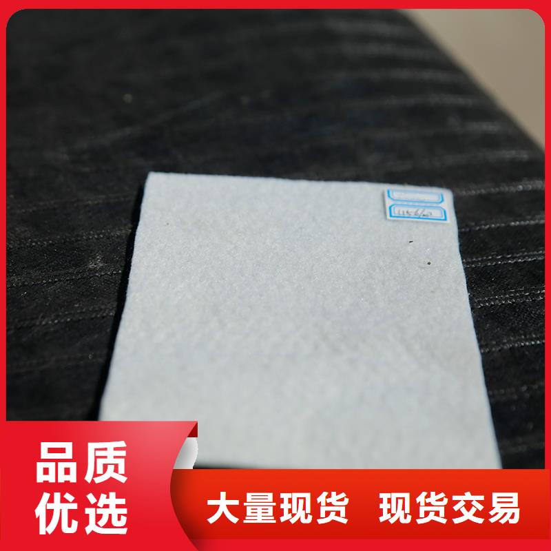 土工布-蓄水板高品质诚信厂家