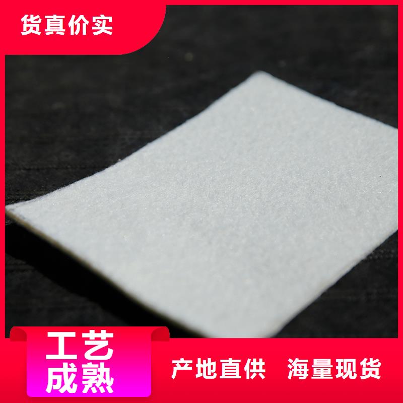 土工布玻纤格栅认准大品牌厂家