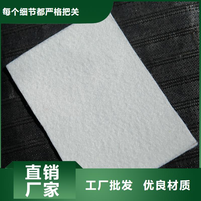 土工布玻纤格栅诚信厂家
