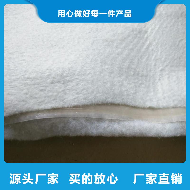 【土工布】塑料玻纤格栅现货实拍