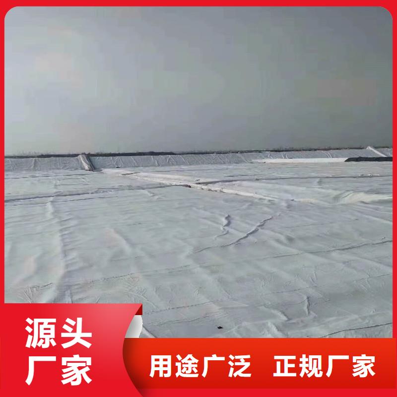 【土工布,防水毯厂家直营】