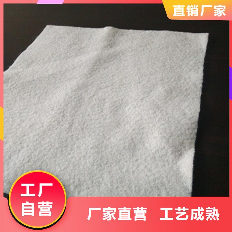 公路土工布厂家直销