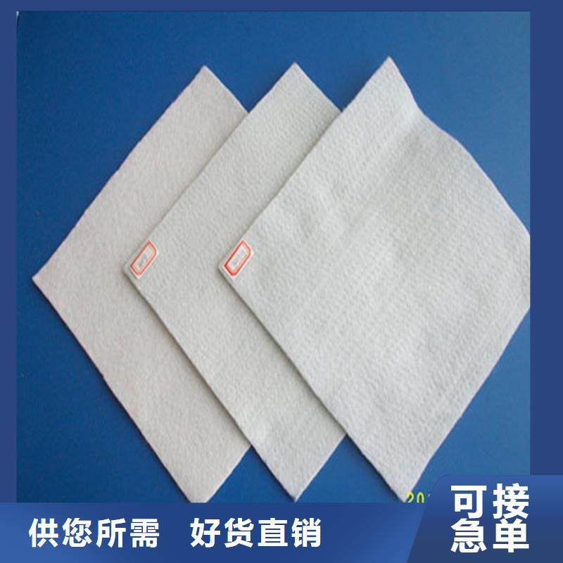 【土工布】塑料玻纤格栅现货实拍
