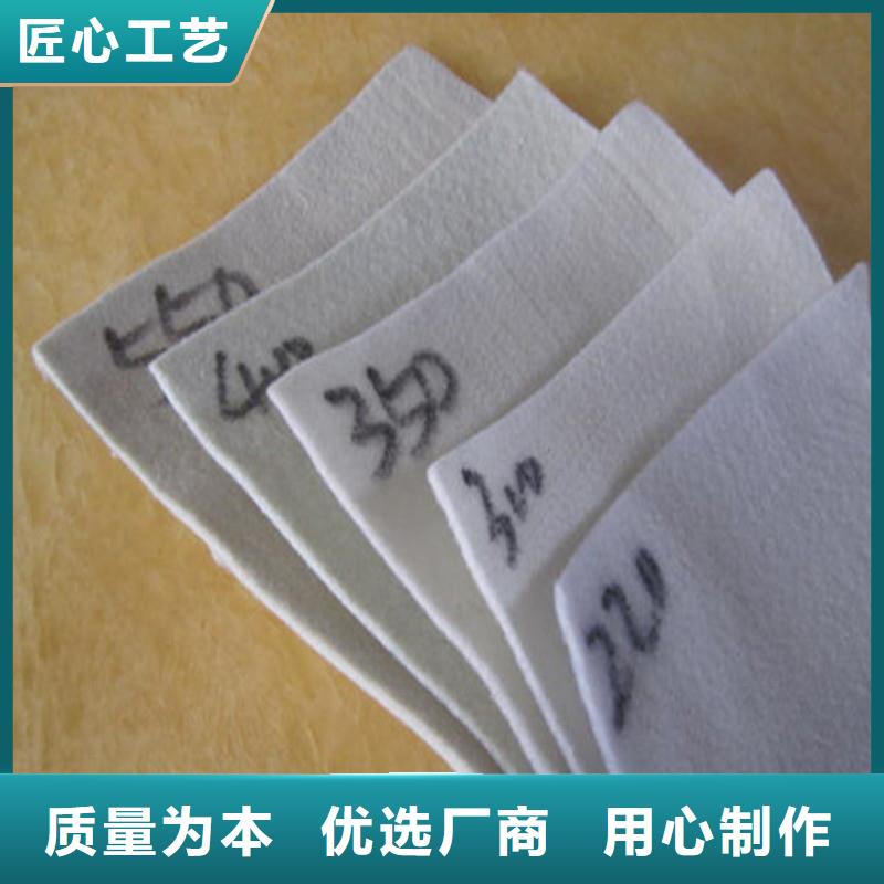 土工布玻纤格栅诚信厂家