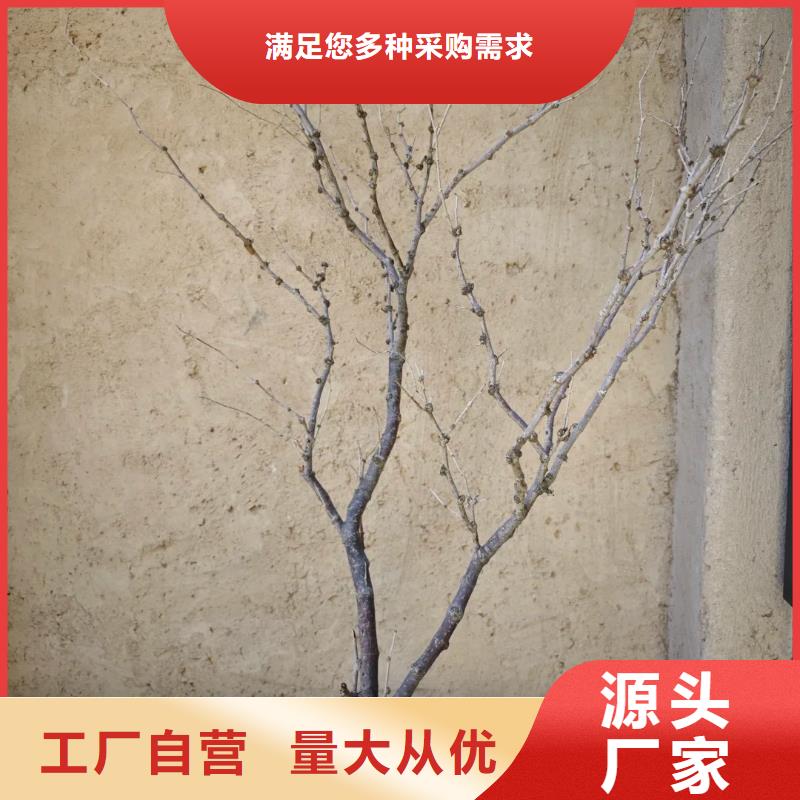 夯土艺术漆厂家#泥巴墙漆#老房翻新#民宿改造
