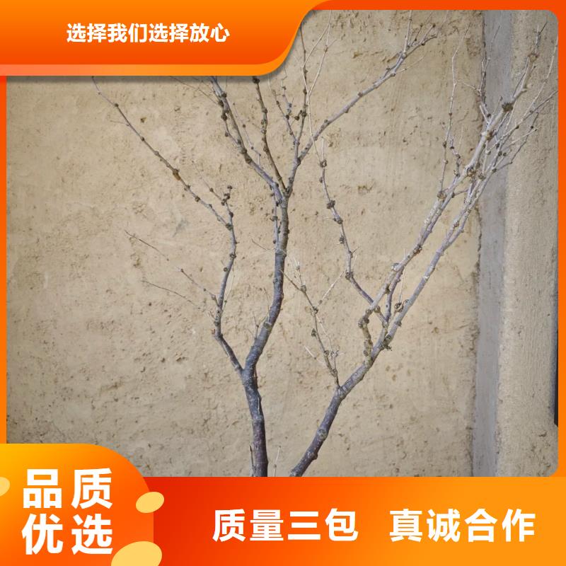 仿夯土外墙漆价格#稻壳漆#仿泥巴稻草漆#美丽乡村建设