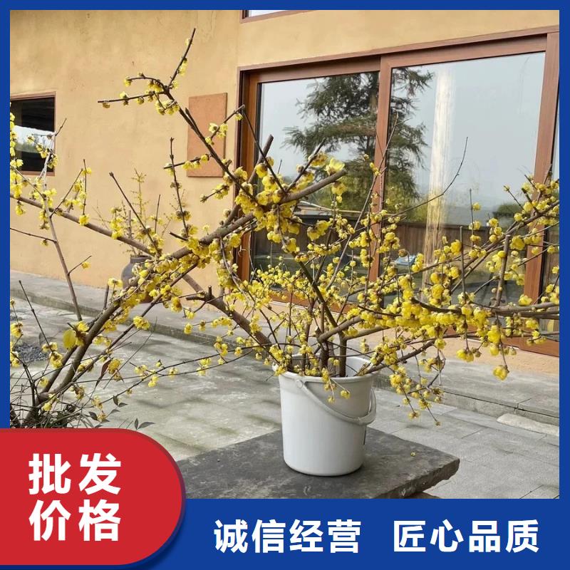 仿五花断层夯土漆多少钱#仿夯土稻草漆#艺术涂料厂家#农家小院改造