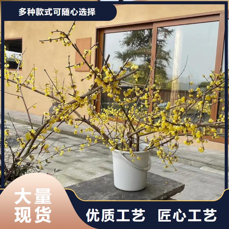 稻草夯土漆多少钱#农家小院#乡村建设#民宿改造