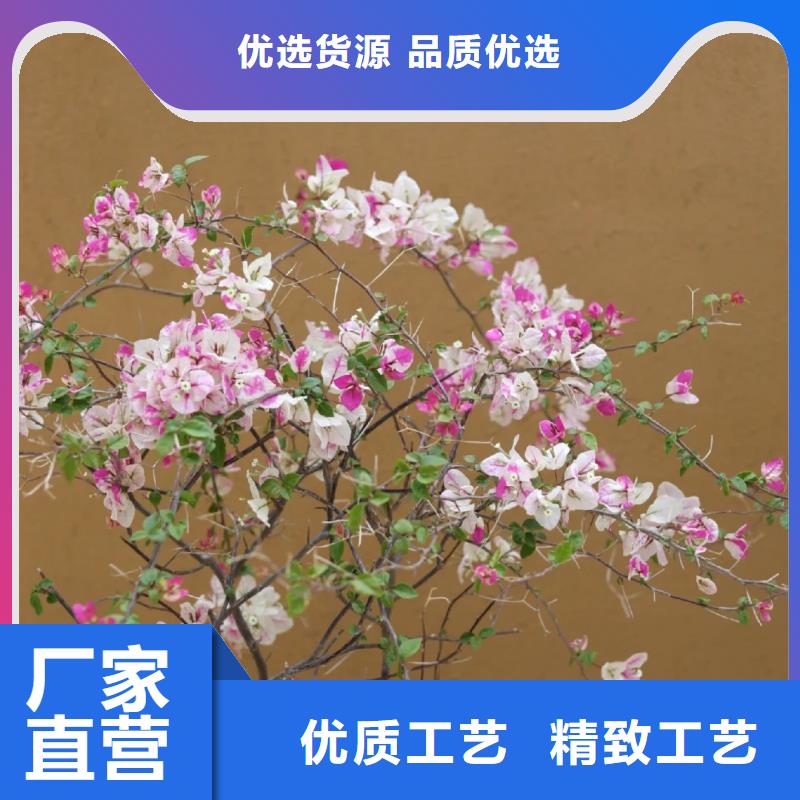 仿泥巴漆来电垂询
