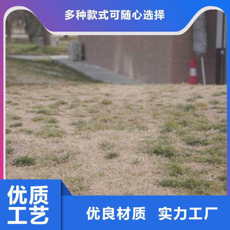 仿夯土涂料全包施工售后无忧