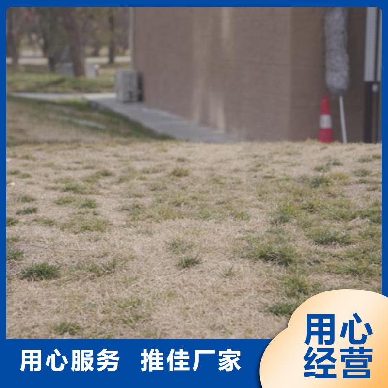 内墙夯土漆供应商