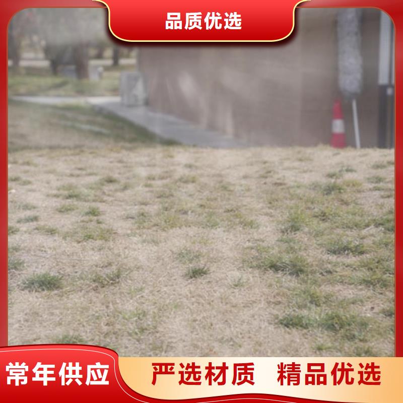 仿夯土质感漆厂家施工质优价廉