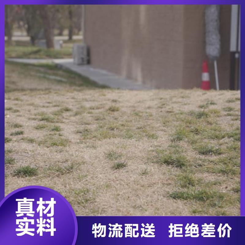 内墙夯土漆现货充足