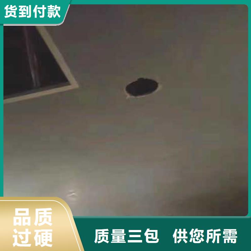室内马来漆实力老厂