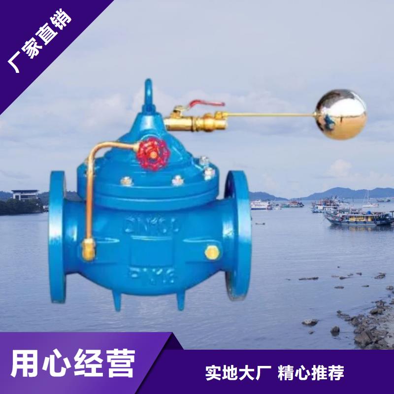 水力控制阀橡胶瓣止回阀敢与同行比服务