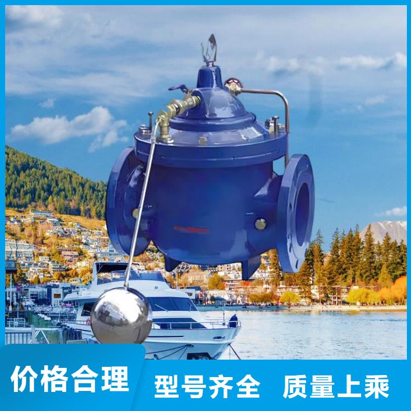 水力控制阀橡胶瓣止回阀敢与同行比服务