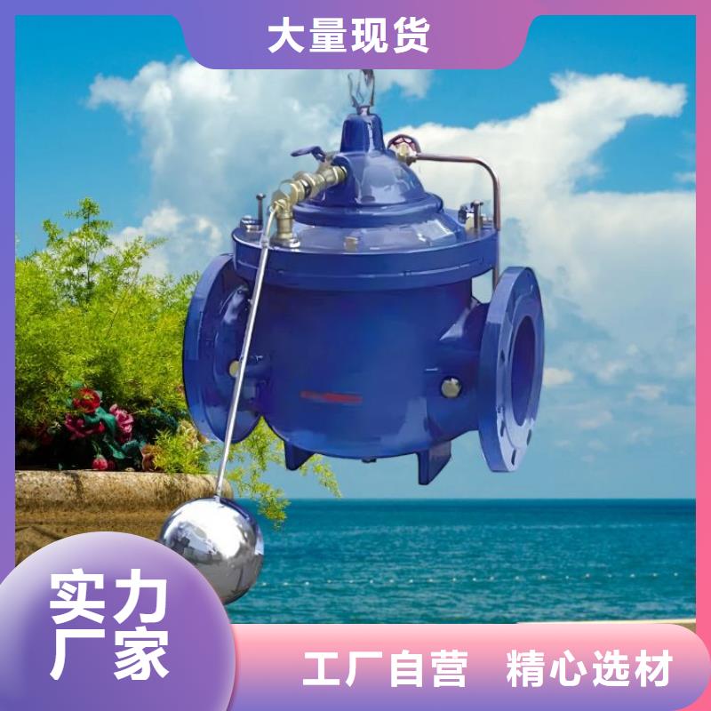 水力控制阀橡胶瓣止回阀敢与同行比服务