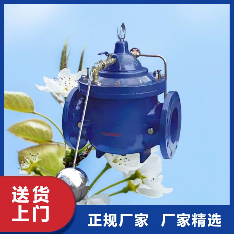 水力控制阀橡胶瓣止回阀敢与同行比服务