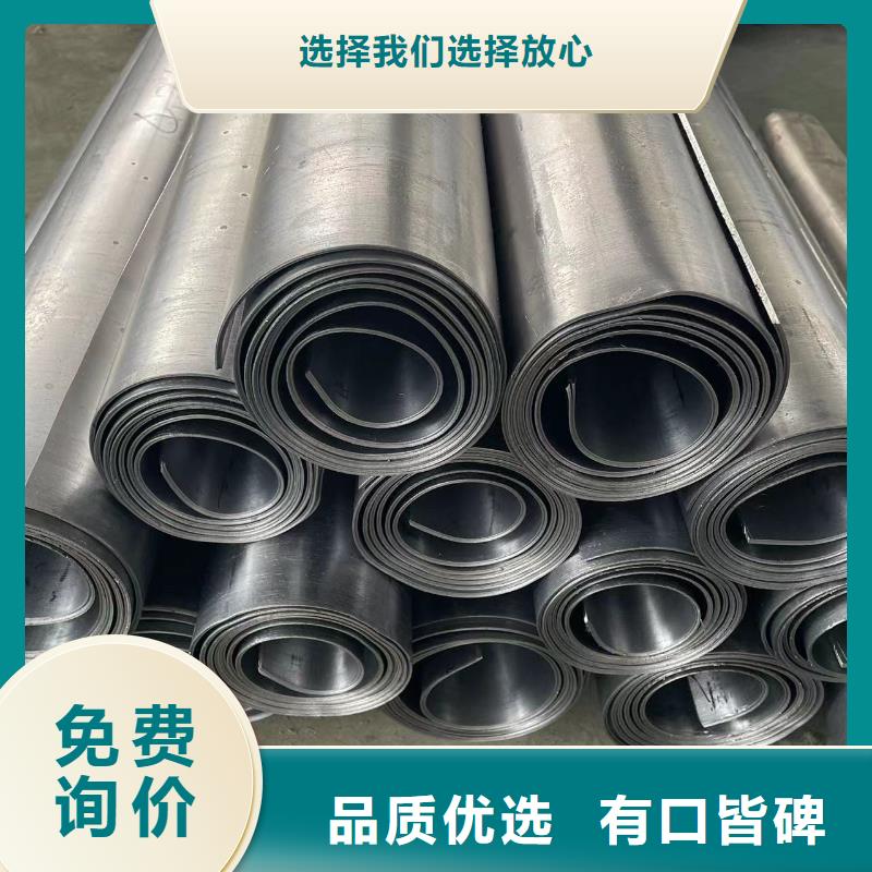辐射铅门、辐射铅门厂家-本地品牌