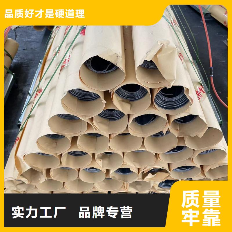 x射线防护铅门省心可靠