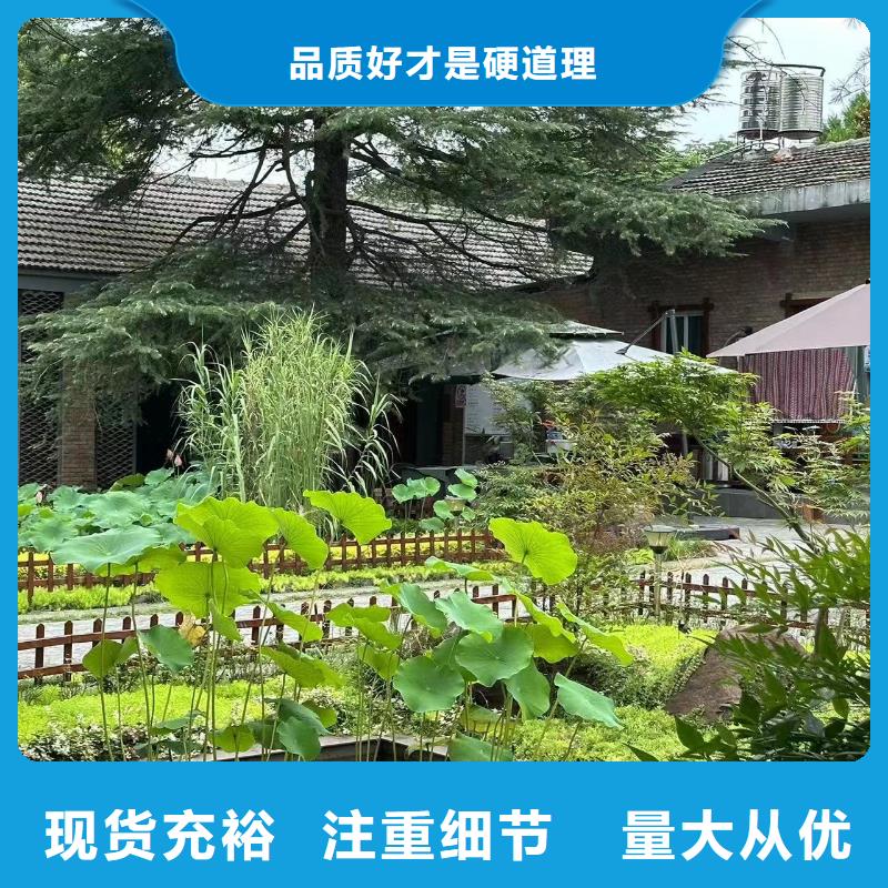 乡村房子大概多少钱