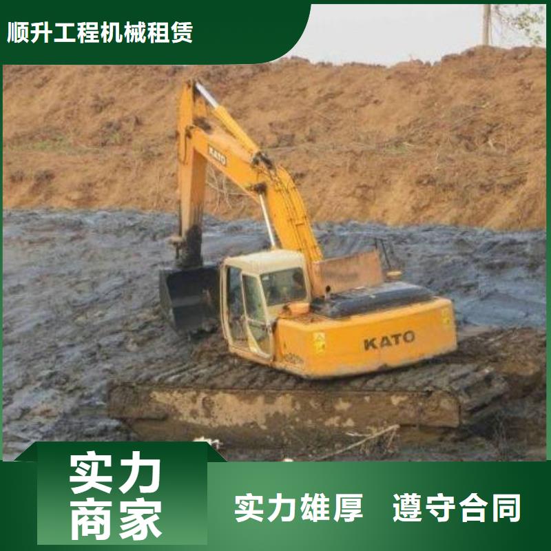 两栖挖掘机租赁
多少钱