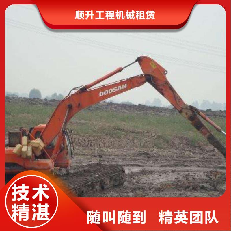 
湿地挖掘机出租厂家