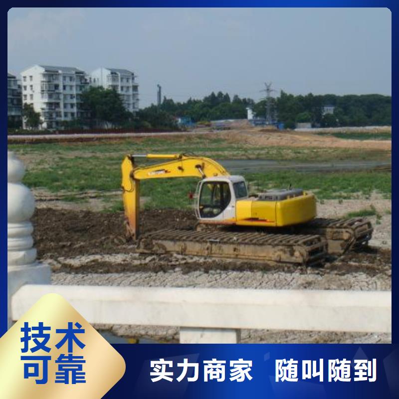 
两栖挖掘机租赁
简介