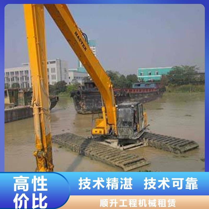 湿地挖掘机出租多图