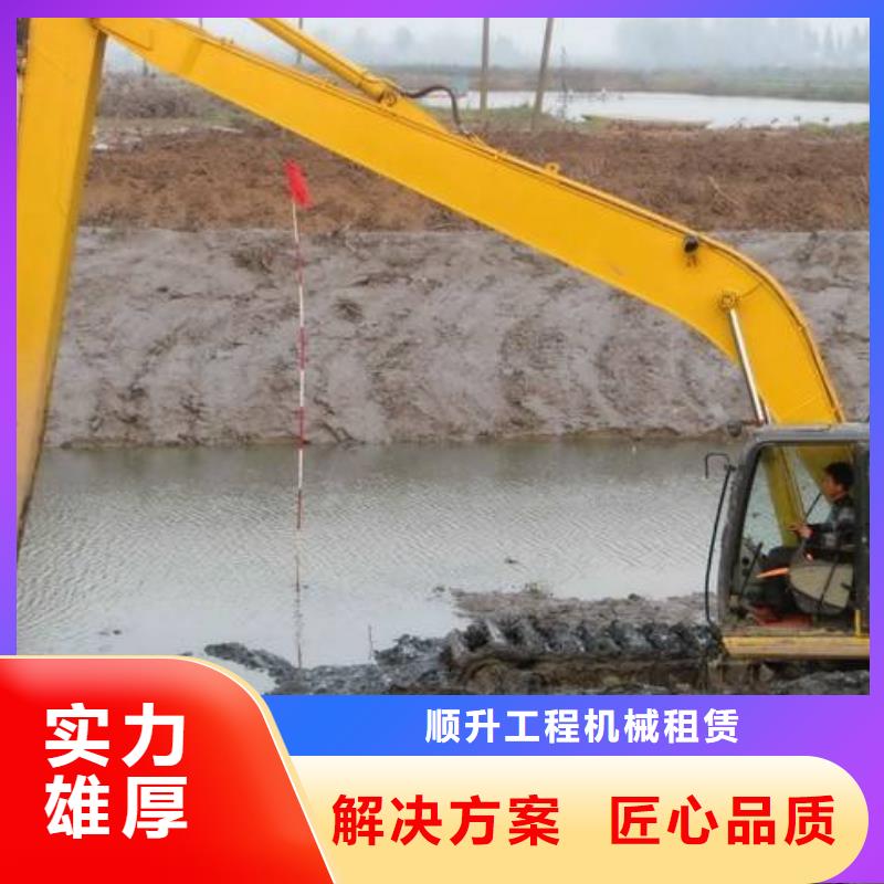 水陆挖掘机出租精华