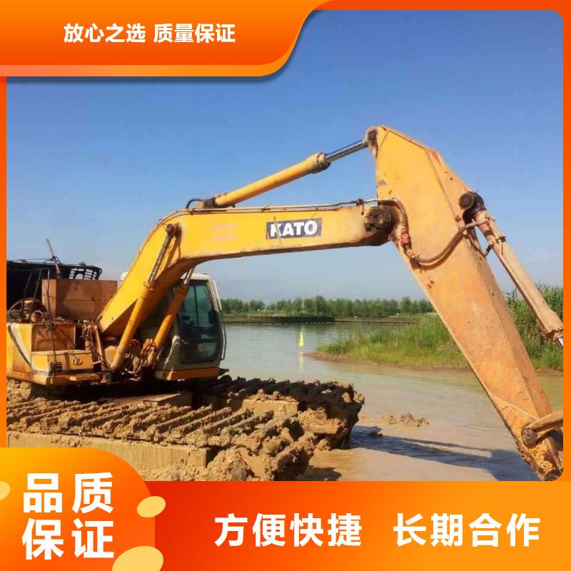 
水陆挖机租赁大图