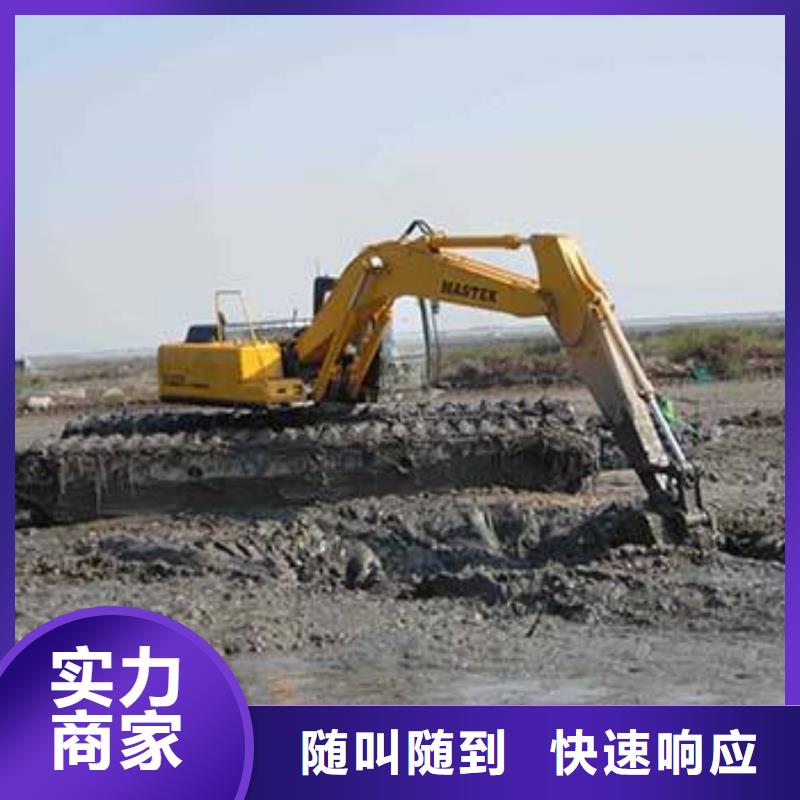 
水陆两用挖机租赁多图