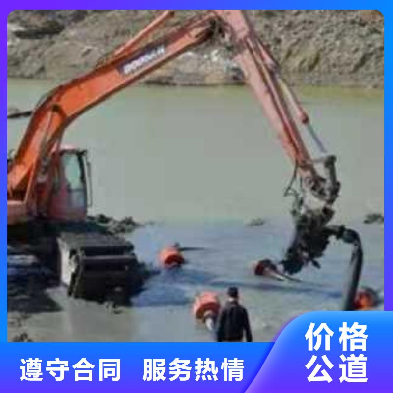 
水陆挖机出租专业厂家