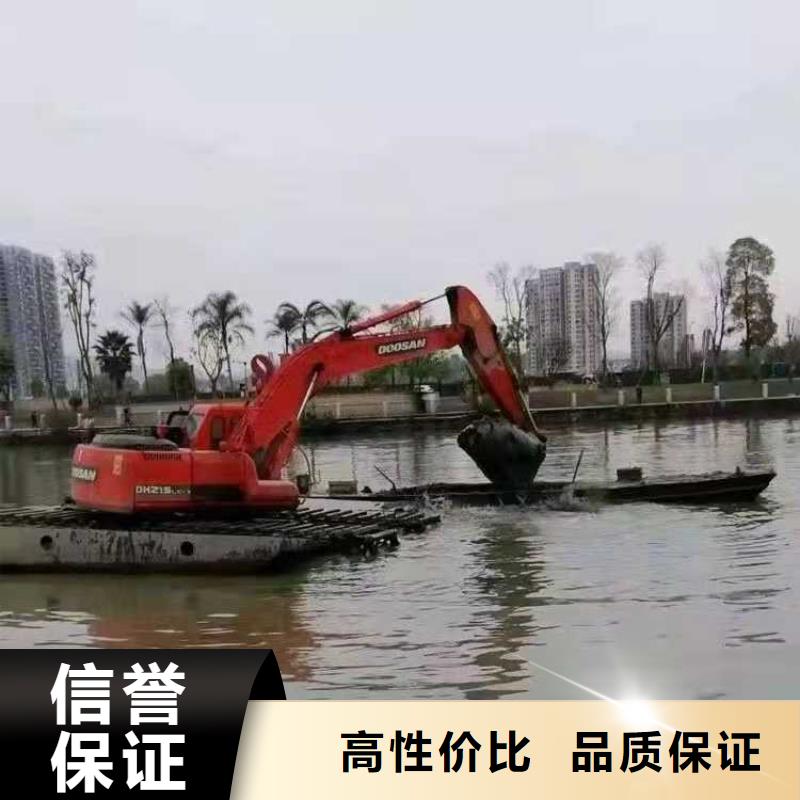 水陆挖机出租简介