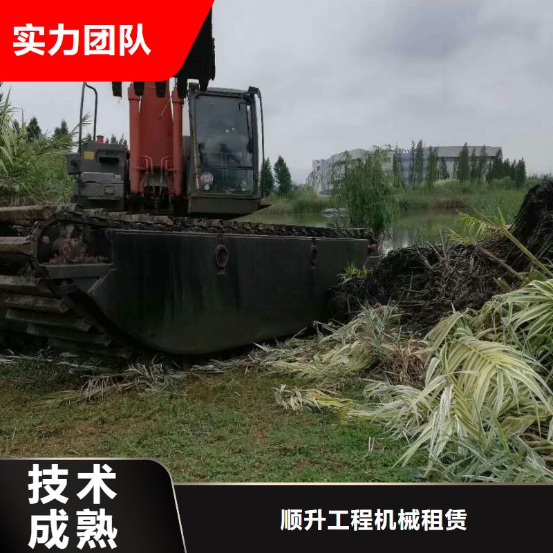 水陆挖掘机出租精华
