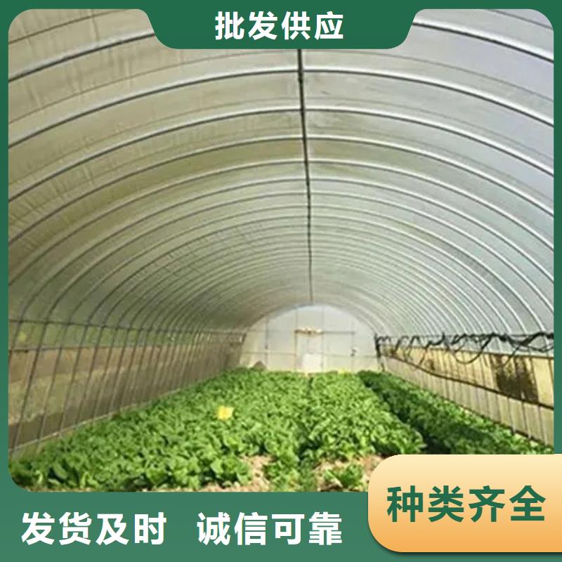 通风气楼天窗厂家直供厂家