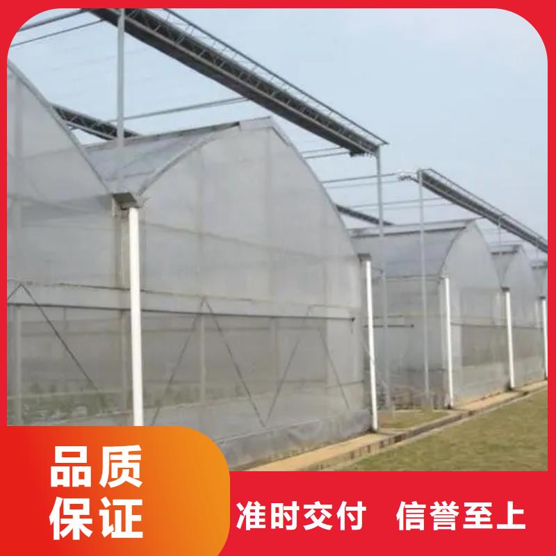 梅林街道育秧温室大棚现货充足