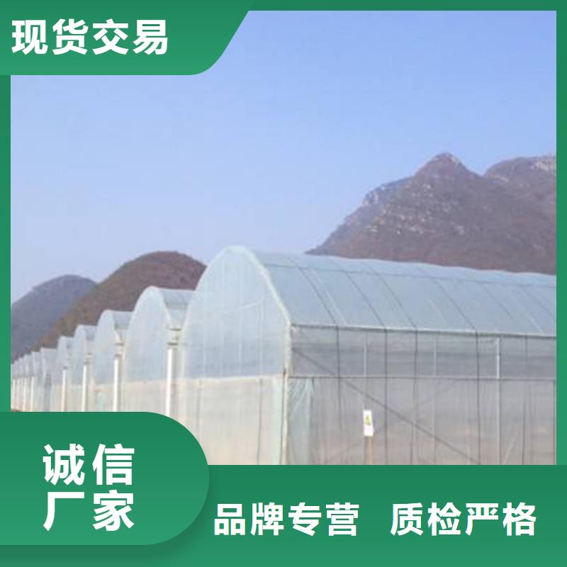 冷水江大棚防风卡槽的效果与压膜绳效果