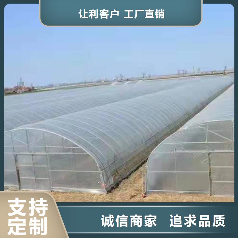 古冶区西瓜大棚发货及时
