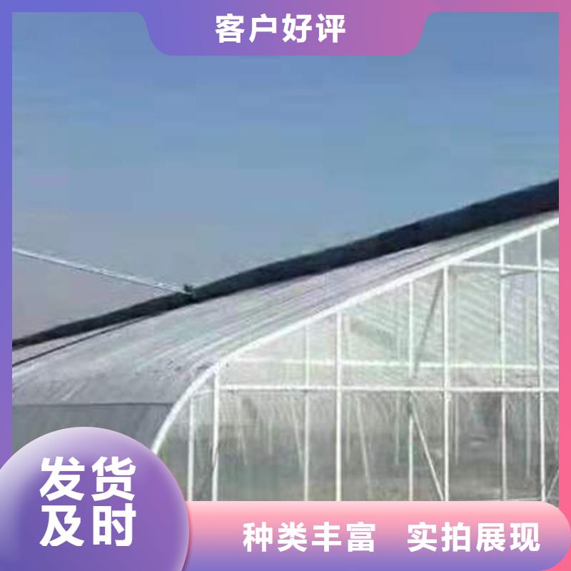 连栋温室大棚图片包你满意