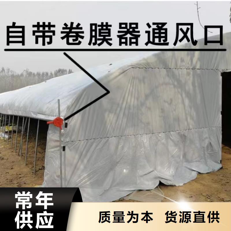葡萄大棚管品质优金荣圣大棚