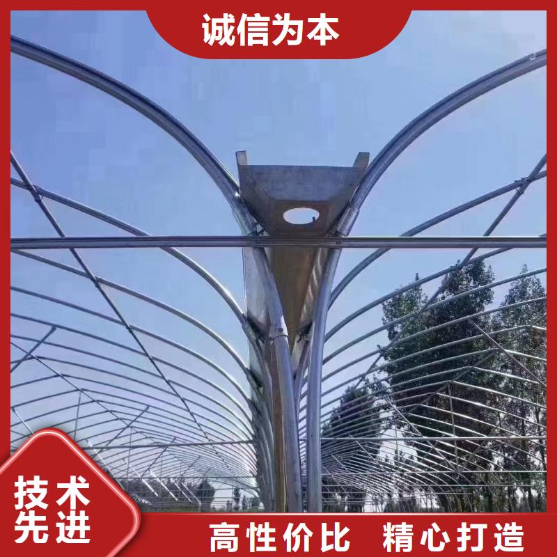 安国市大棚卡槽良心厂家