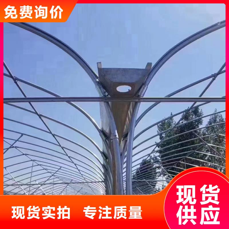 柞水县大棚钢管厂家10年经验