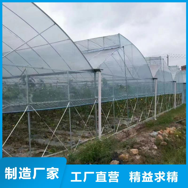 连栋温室钢架大棚价格品质保证2025-8-28